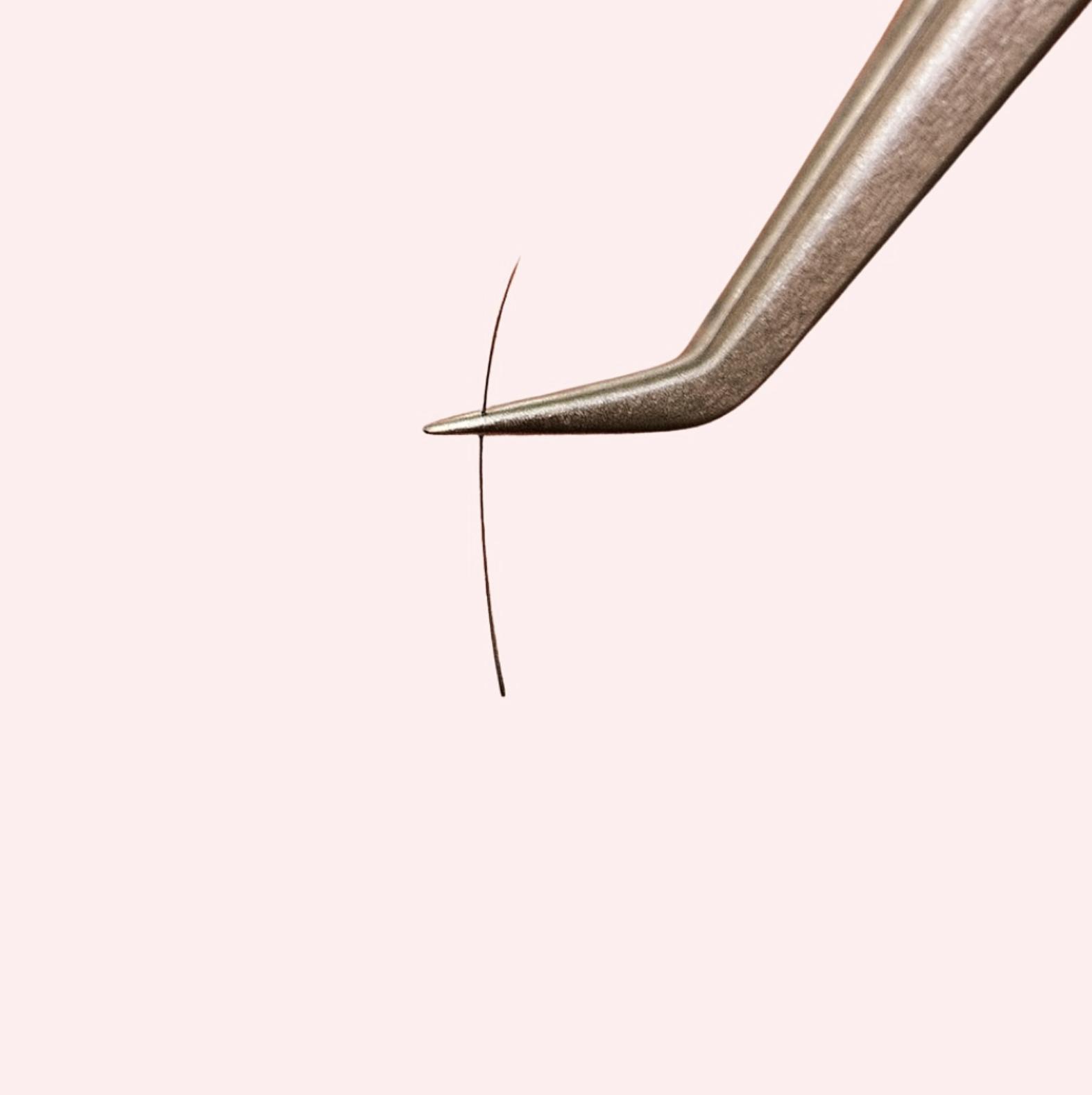 Image 05 04 2026 à 20.55